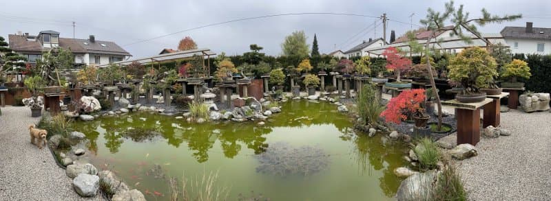 Bonsai Garten Munchen