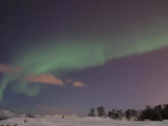 Tromso Telegrafbukta