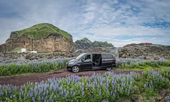 Viking Tours