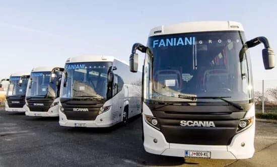 Faniani Coaches