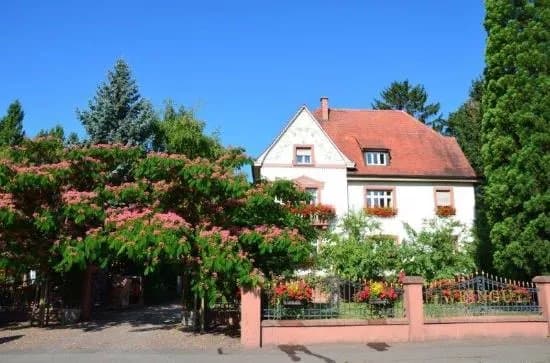 Weingut Anselmann