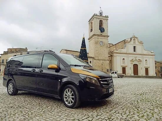 Alex Travel