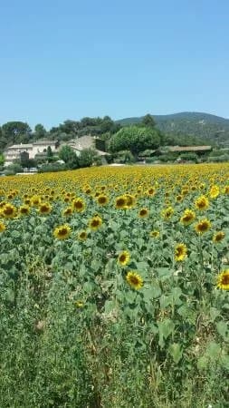 Marche de Lourmarin