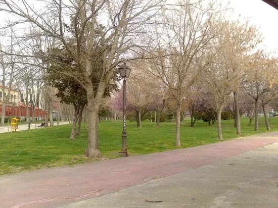 Parque de la Bombilla