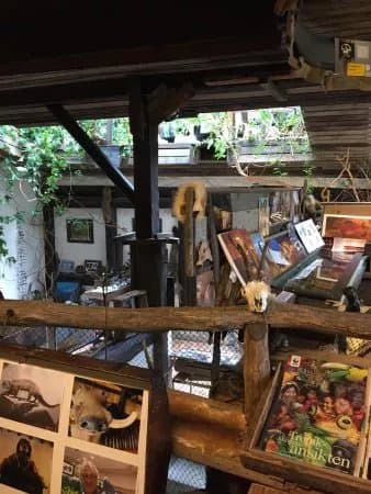 Barnstensmuseet i Kampinge, Hollviken