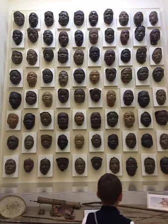 Museo di Antropologia