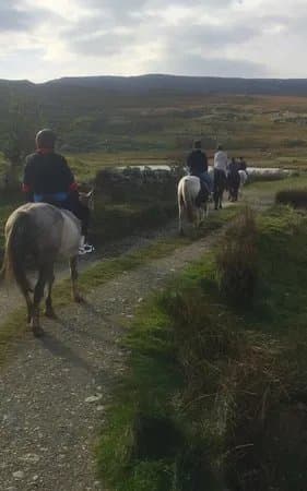 Knockillaree Riding Centre