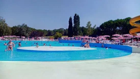 Acquapark Crocodile