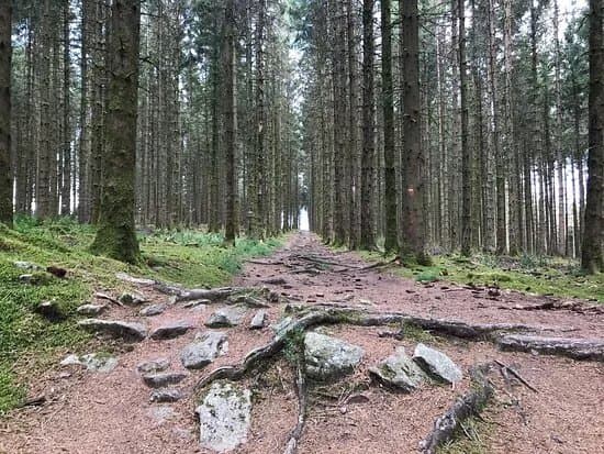 Espace Trail Des Monts De Gueret