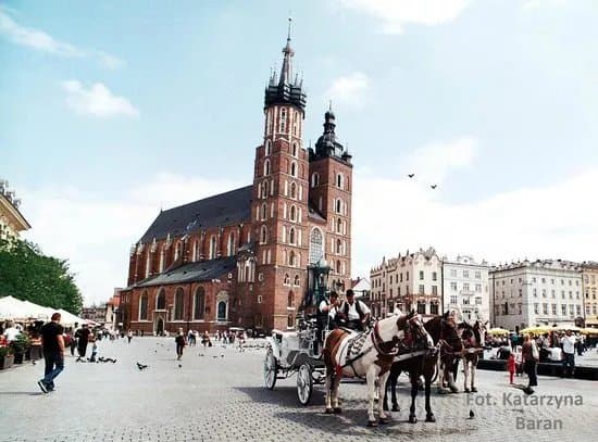 Enjoy Polen