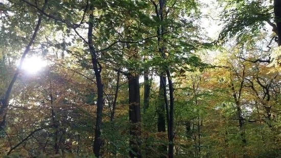Ramlosa Park