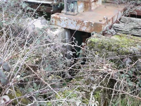 Scie A Grumes De Chez Guilliet Et Fils