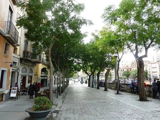 Rambla De La Llibertad