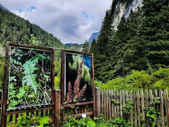 Jardin Alpin de Pont de Nant La Thomasia