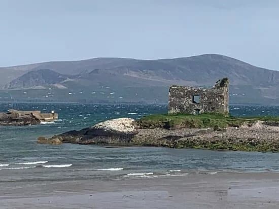 Wild Atlantic Tours