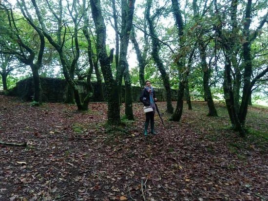 Parque Do Monte Pio