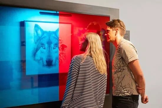 Vilnil. Museum of illusions