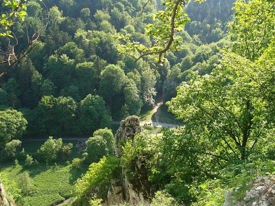 Jaskinia Ciemna (Dark Cave)