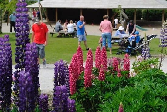Loughwell Farm Park