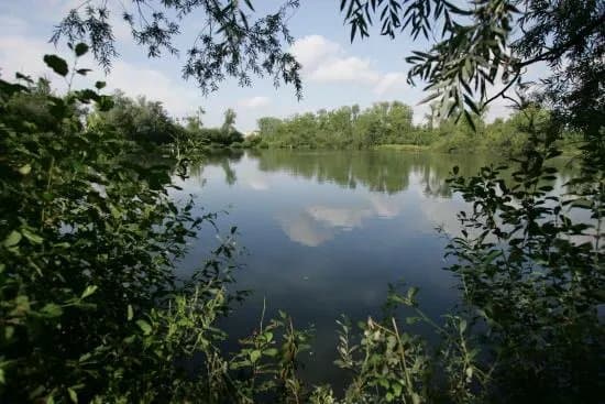 Parc d'Isle