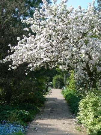Martineau Gardens