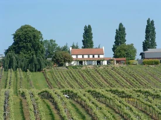 Three Choirs Vineyard