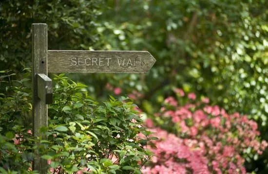 Abbotsbury Subtropical Gardens