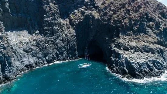 Kailani Whale Watching