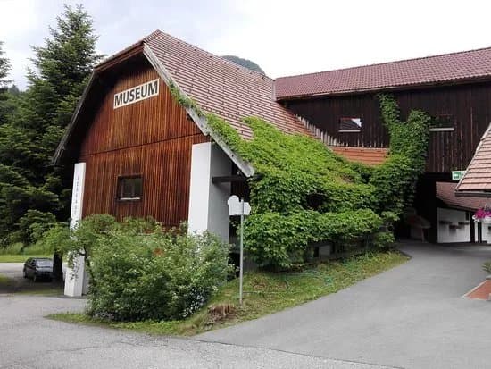 Mushroom Museum