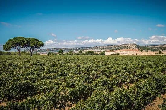 Abadia Retuerta Bodega