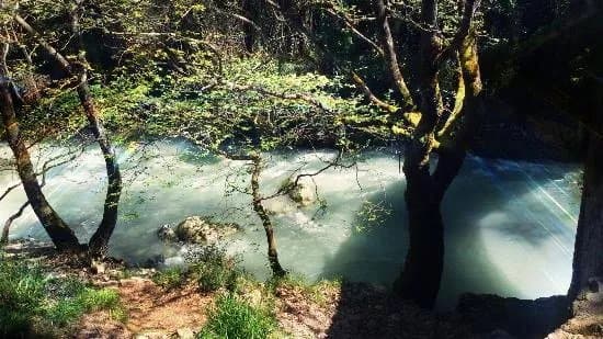 Lousios River