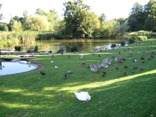 Valbyparken