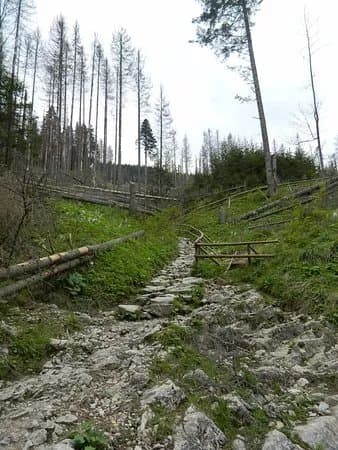 Jaskinia Mrozna