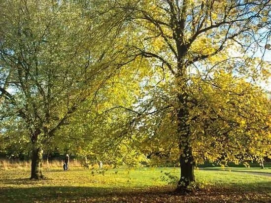 Princes Park