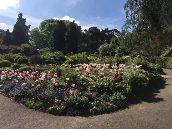 Coombe Wood