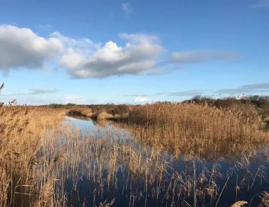 Nationaal Park Schiermonnikoog