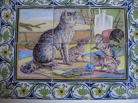 The Cat Cabinet