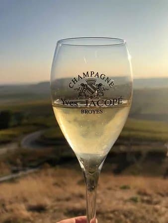 Champagne Yves Jacope