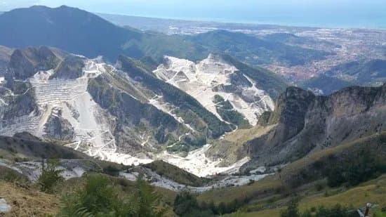 Campocecina Carrara Ms