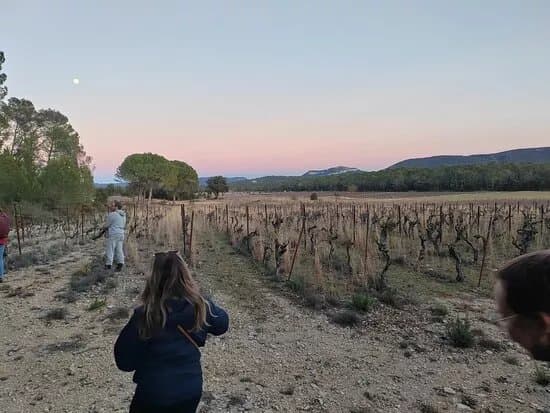 Domaine De La Vieille