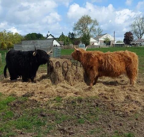 Robertson's Farm Shop Beauly
