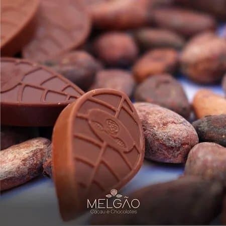 Melgao Cacau E Chocolate