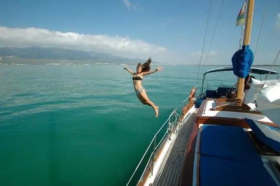Butterfly Charters