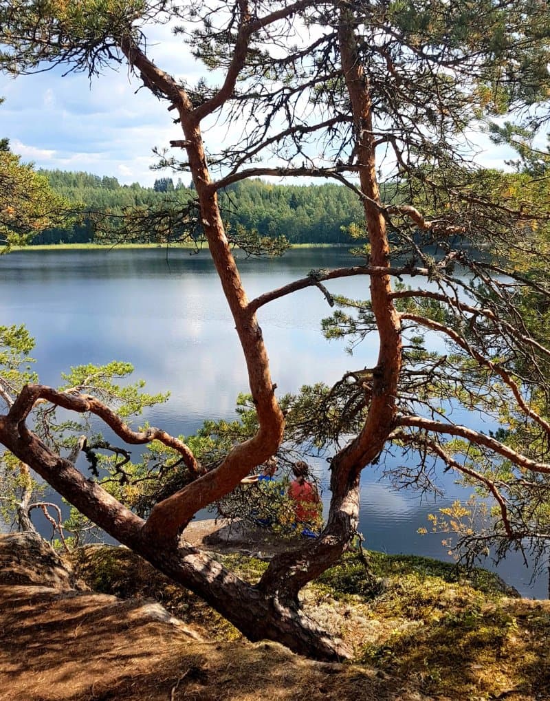 Saimaa Geopark Norppapolku Harjumaastossa