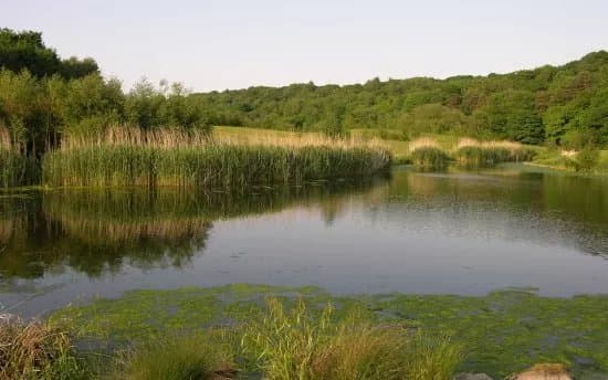 Derwenthaugh Country Park