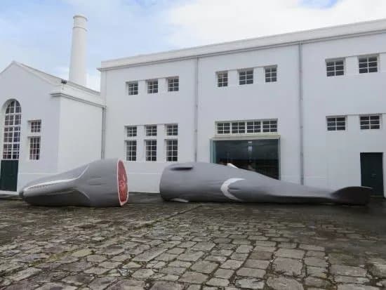 Museu da Fabrica da Baleia do Boqueirao