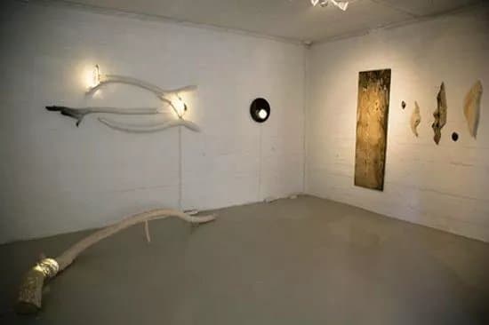 Galleria Ronga