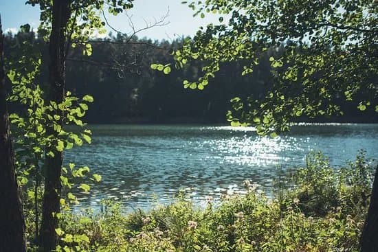 Meironys Botanical Trail