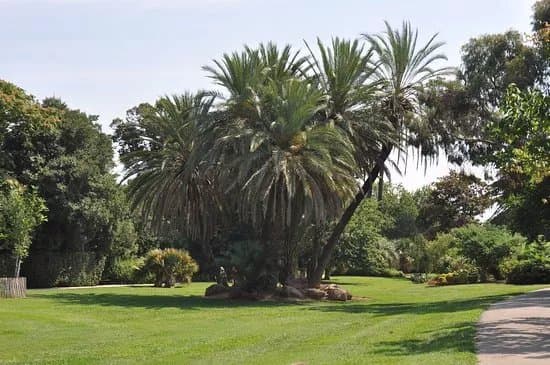 Parc Olbius-Riquier