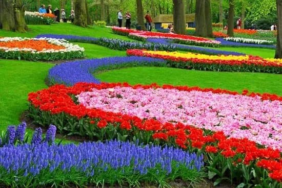 Private Holland Tours